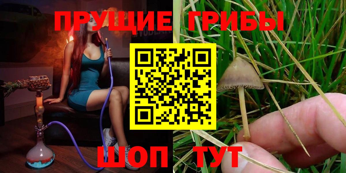 Псилоцибиновые грибы прущие грибы Новоалександровск